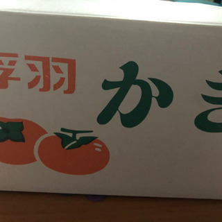 浮羽 柿