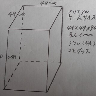 クリスタルケース　探している方！