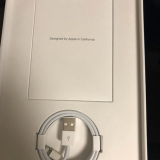 iPad mini５ 256GB