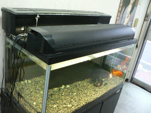 ブラック系 お得 水槽90 45 濾過器 ヒーター 魚用品 水草 ペット用品ブラック系 Www Marengoef Com