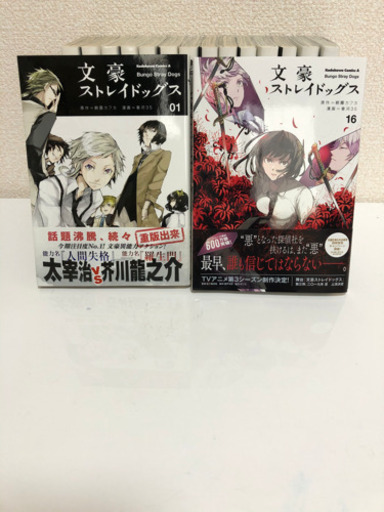 文豪ストレイドッグス 1 16巻 その他 少年漫画 Giardinodeisognivr It