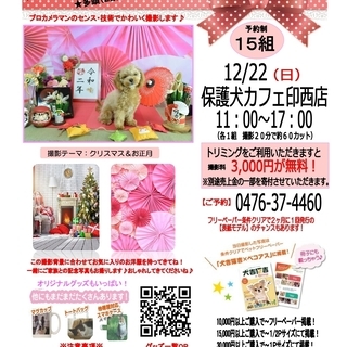 【保護犬カフェ印西店】12/22（日）ペット撮影会「Photoj...
