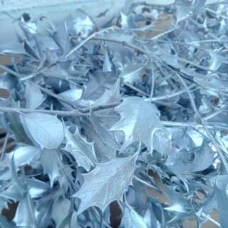 ヒイラギの葉 枝 セット クリスマス ハンドメイド素材 天然 リース