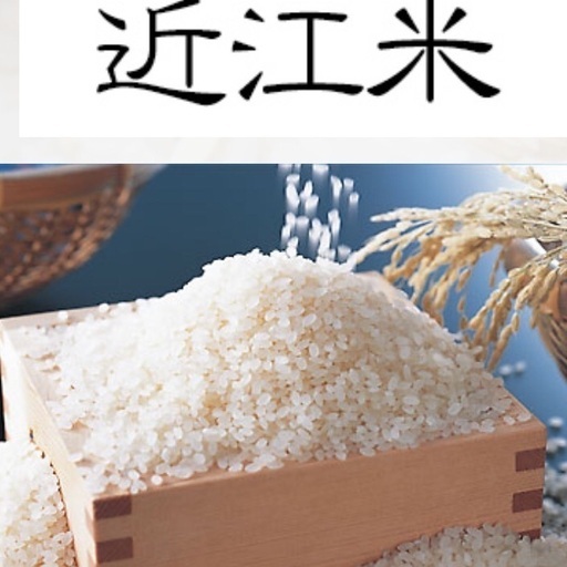 滋賀県産 近江米 新米キヌヒカリ