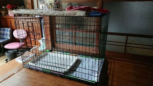 犬猫ゲージ 新品