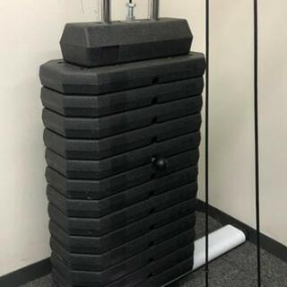 家具 ファイティングロード ホームジムEX 70 最大70kg ホームジム 大胸 