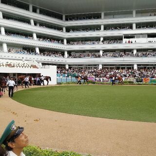 競馬は馬単が気持ちいい