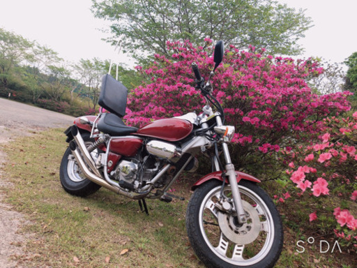 ★大幅値下げ★原付アメリカン！赤いHONDAマグナ50