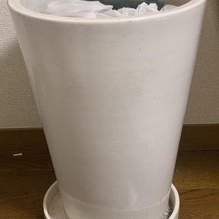 植木鉢（白色、皿付き）