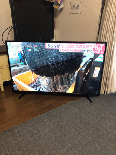 Hisense ハイビジョンLED液晶テレビ　43型　43A50 2019年製