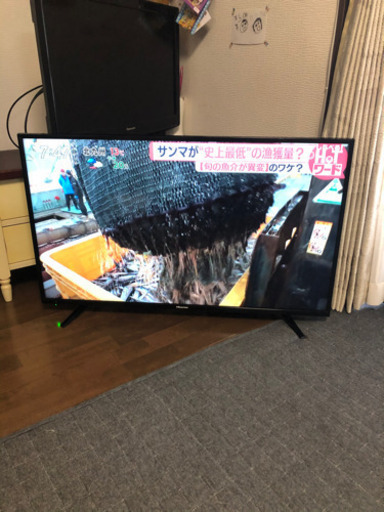 Hisense ハイビジョンLED液晶テレビ 43型 43A50 2019年製