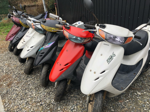 たらこまる 大量入荷しました‼️格安販売‼️3万〜給料日払い ご相談