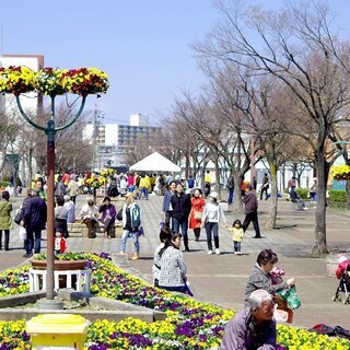 第二回　荒子川公園さくらまつり　スーパーカー展示