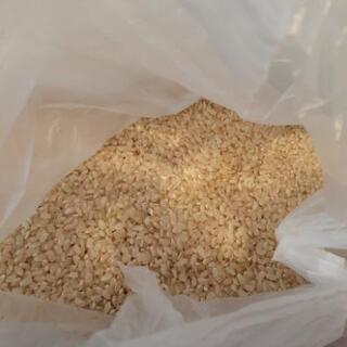 玄米1.6キロ(古米)