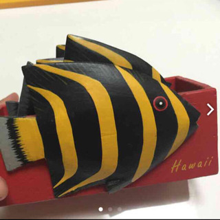 大阪府の中古熱帯魚が無料 格安で買える ジモティー