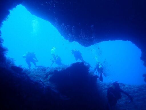 スキューバダイビングショップスタッフ募集 中村 友妃子 上新庄のその他の正社員の求人情報 Diving Pro Shop Free ジモティー