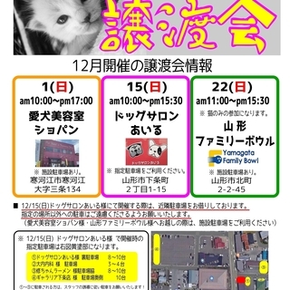 保護犬猫の譲渡会を開催します Oguma 寒河江のその他のイベント参加者募集 無料掲載の掲示板 ジモティー