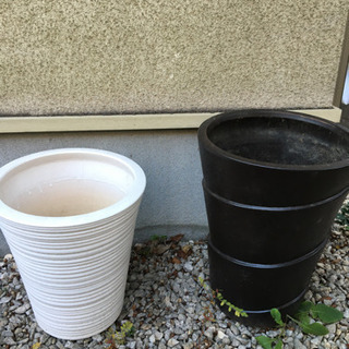 観葉植物用植木鉢　２個