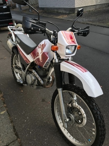 おんぶセロー、絶好調！