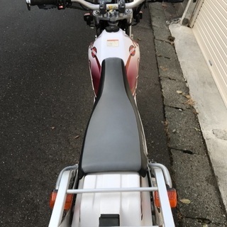 おんぶセロー、絶好調！