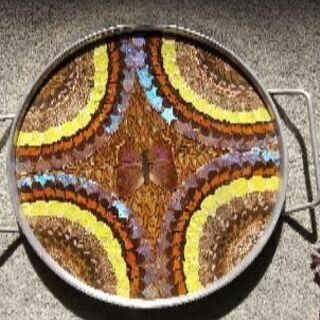 蝶の飾り盆、ブラジル産