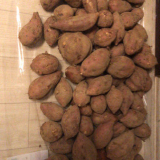 種子島産安納芋 5kg