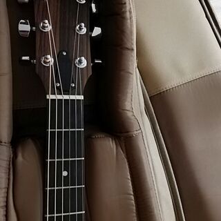 【美品】Taylor 214ce-Gloss NAT