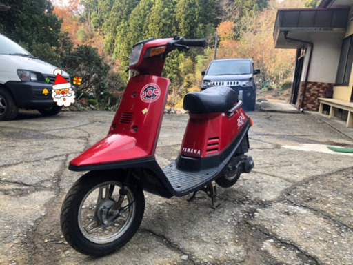 ペリカンジョク ペリカンジョグ