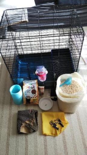 終了 フェレットの飼育セット(中古)