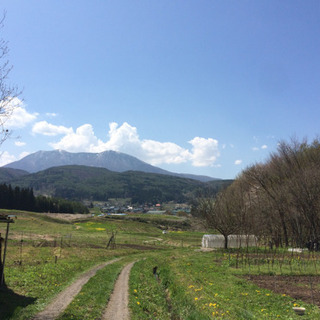 里山作りに協力してくださる方募集