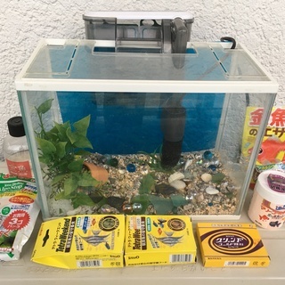 福岡県の中古金魚水槽が無料 格安で買える ジモティー
