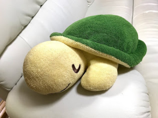 ぬいぐるみ亀 はな 西三荘のおもちゃの中古あげます 譲ります ジモティーで不用品の処分 ぬいぐるみ亀 はな 西三荘のおもちゃの中古あげます 譲ります ジモティーで不用品の処分