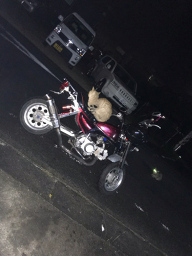 ホンダ モンキー