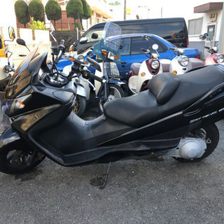 SUZUKI スカイウェブ250S セル始動 福岡市南区 | biadesarrolladora.com