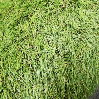 リアルなタイプの芝生マット2m×3m