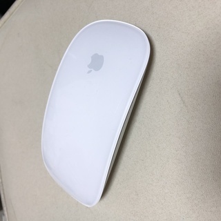 Apple Magic Mouse MB829J/A