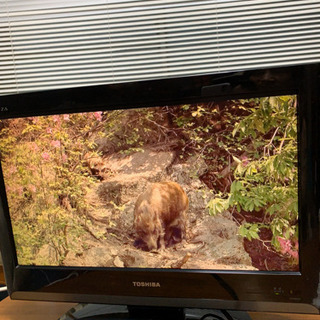 東芝液晶カラーテレビ　レグザ