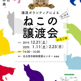 1/11 (土) 名古屋市動物愛護センター主催　猫の譲渡会　名古...