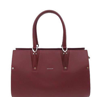 極美品 ロンシャン パリ プルミエ トップハンドル トートバッグ M