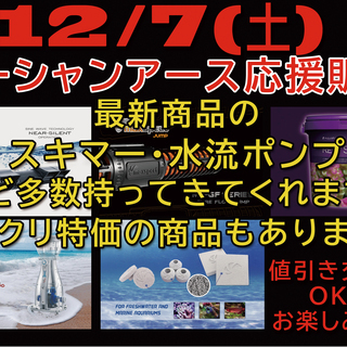 【大阪府】【堺市】海水系機材代理店のオーシャンアースによる応援販売！！