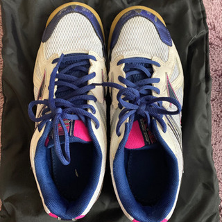 MIZUNO バレーボールシューズ