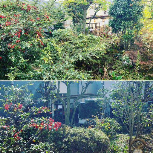 横浜 植木屋 庭木の剪定 便利屋 Sketch 天王町のその他の無料広告 無料掲載の掲示板 ジモティー