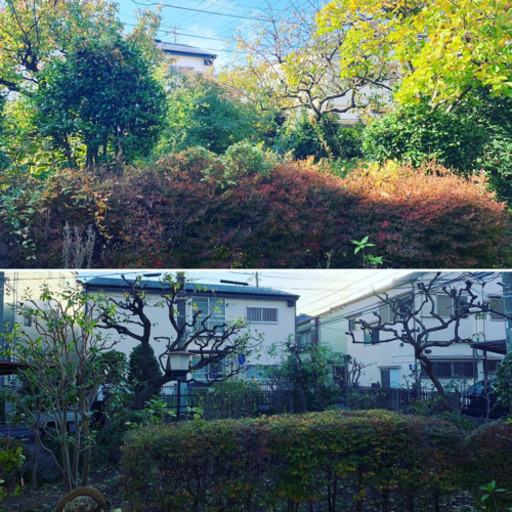 横浜 植木屋 庭木の剪定 便利屋 Sketch 天王町のその他の無料広告 無料掲載の掲示板 ジモティー