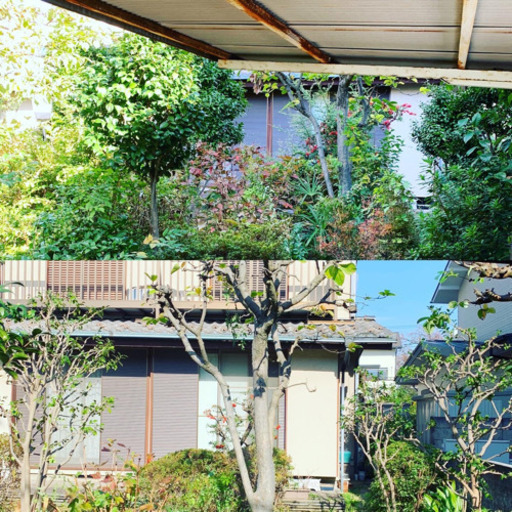 横浜 植木屋 庭木の剪定 便利屋 Sketch 天王町のその他の無料広告 無料掲載の掲示板 ジモティー