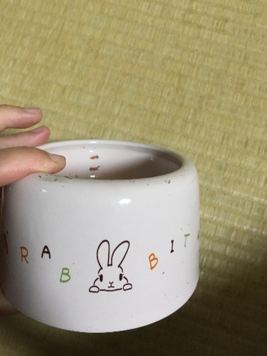 中古ウサギモルモットラットデグー餌入れ 朝美絢 横浜のその他の中古あげます 譲ります ジモティーで不用品の処分 中古ウサギモルモットラットデグー餌入れ 朝美絢 横浜のその他の中古あげます 譲ります ジモティーで不用品の処分