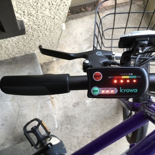 サンフレッチェ・モデル 電動アシスト自転車 パープル YB20A 20インチ