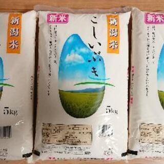 ○お米○ こしいぶき5kg米3袋