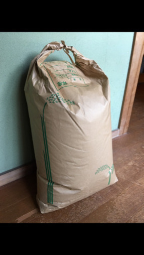 米☆令和元年☆香川県産コシヒカリ☆30kg⭐︎精米済み