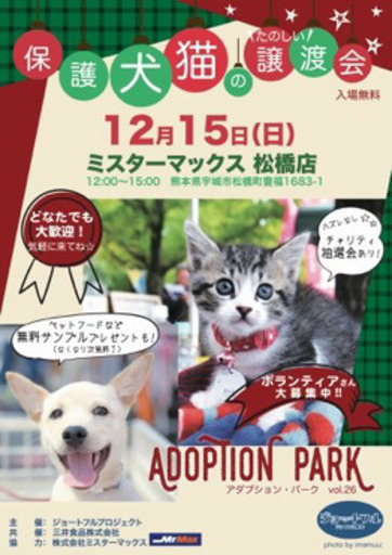 たのしい保護犬猫クリスマス譲渡会♫ (Nekoyang) 松橋のその他の