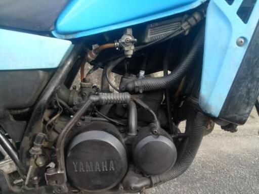 YAMAHA　DT50